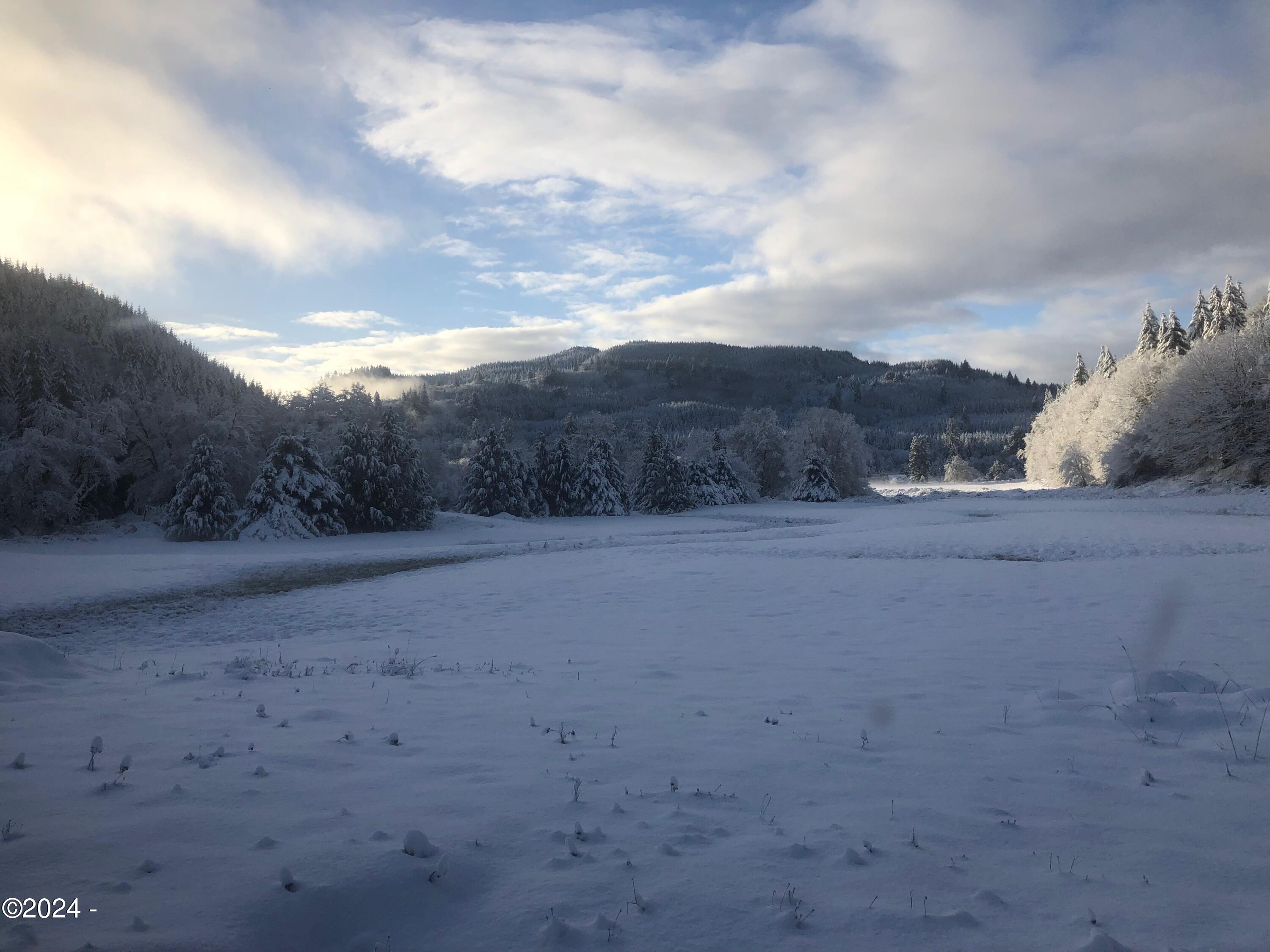 540 Big Rock Creek Road Blodgett, OR 97326 - Photo 52 of 54 Snowy morning
