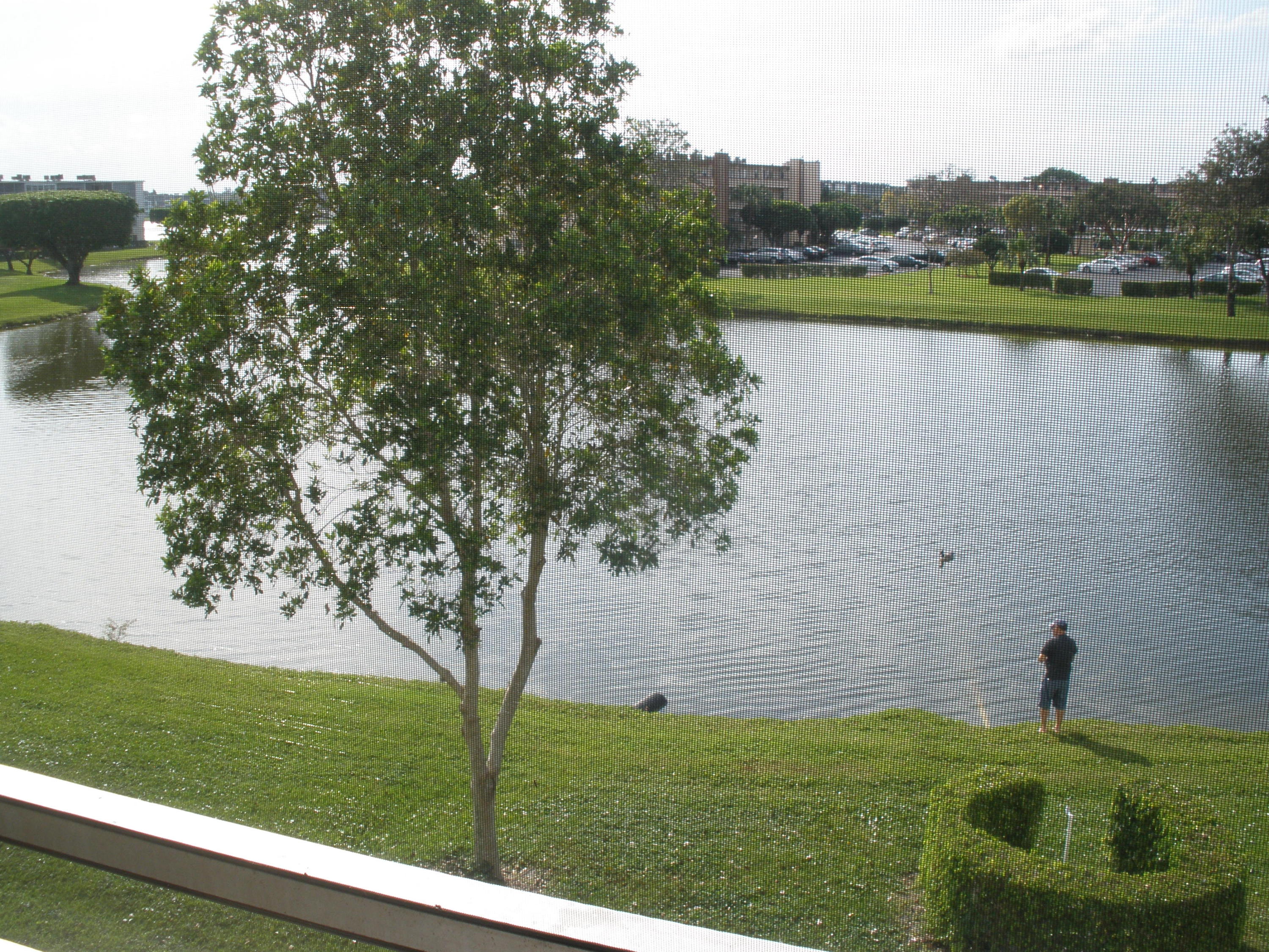 3033 Lincoln B Boca Raton, FL 33434 - Photo 12 of 14 012