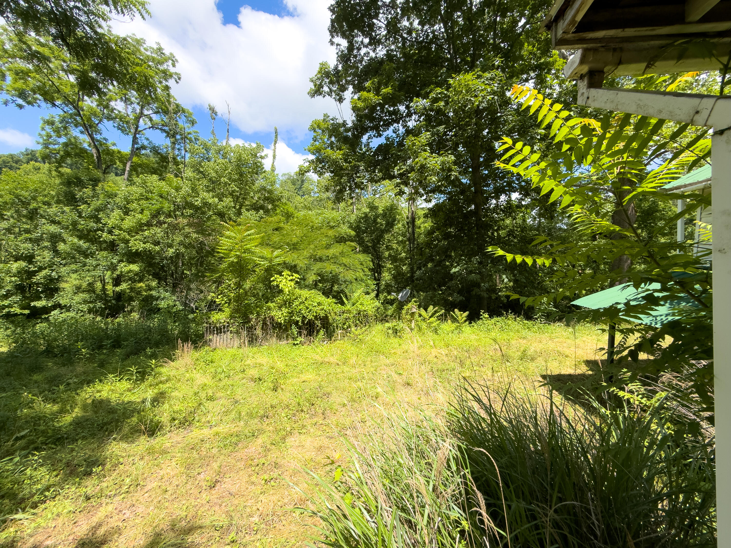 684 Lower Twin Road Jackson, KY 41339 - Photo 18 of 23 LightroomRealEstateEdits-26