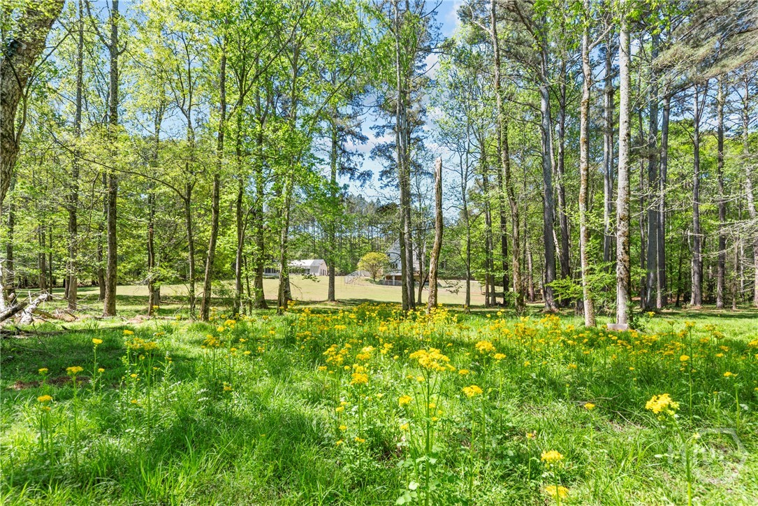 599 Double Branch Road Danielsville, GA 30633 - Photo 60 of 70