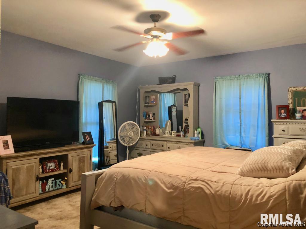 11011 Schone Road Tallula, IL 62688 - Photo 11 of 15 Gallery Image 11