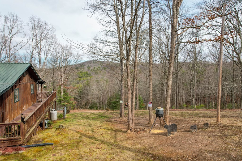 256 Boot Legger Road Morganton, GA 30560 - Photo 4 of 41