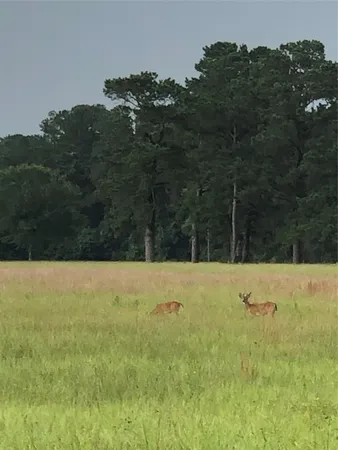 $280,000 | 0 Kimberly Trace, Conroe, TX 77304