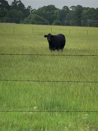 $280,000 | 0 Kimberly Trace, Conroe, TX 77304