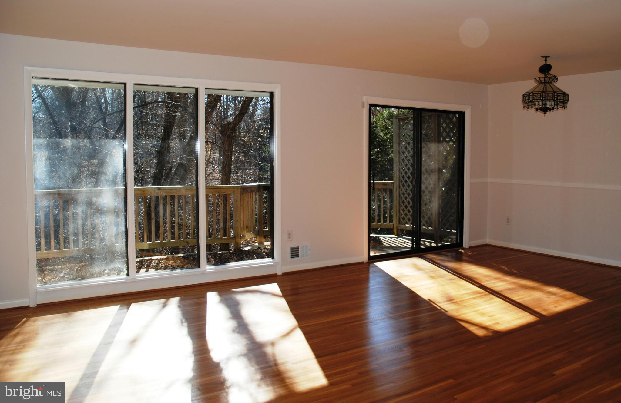 10834 Margate Road Silver Spring, MD 20901 - Photo 3 of 28 Sundrenched with full window and exit to deck