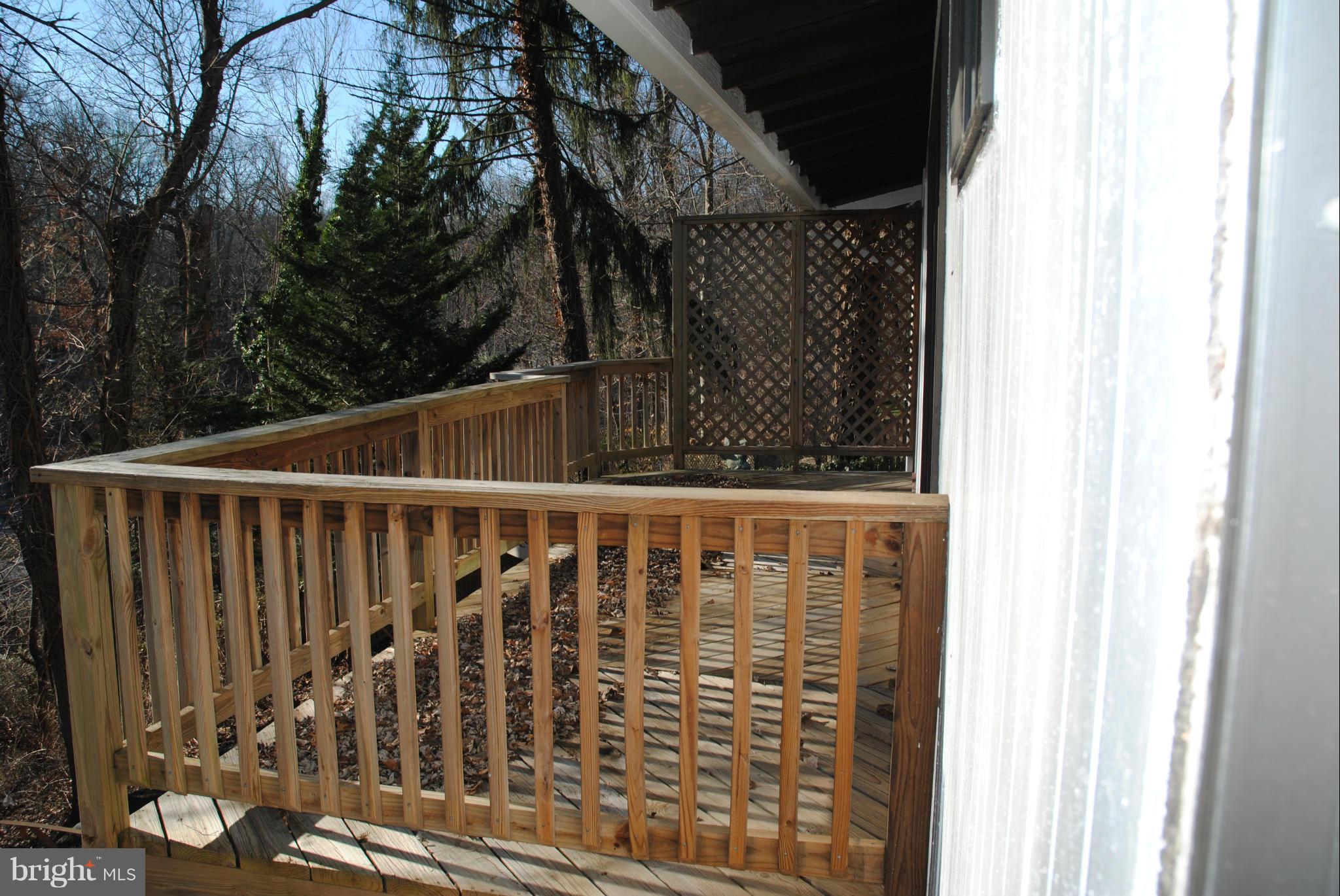 10834 Margate Road Silver Spring, MD 20901 - Photo 4 of 28 Deck off the LR-DR