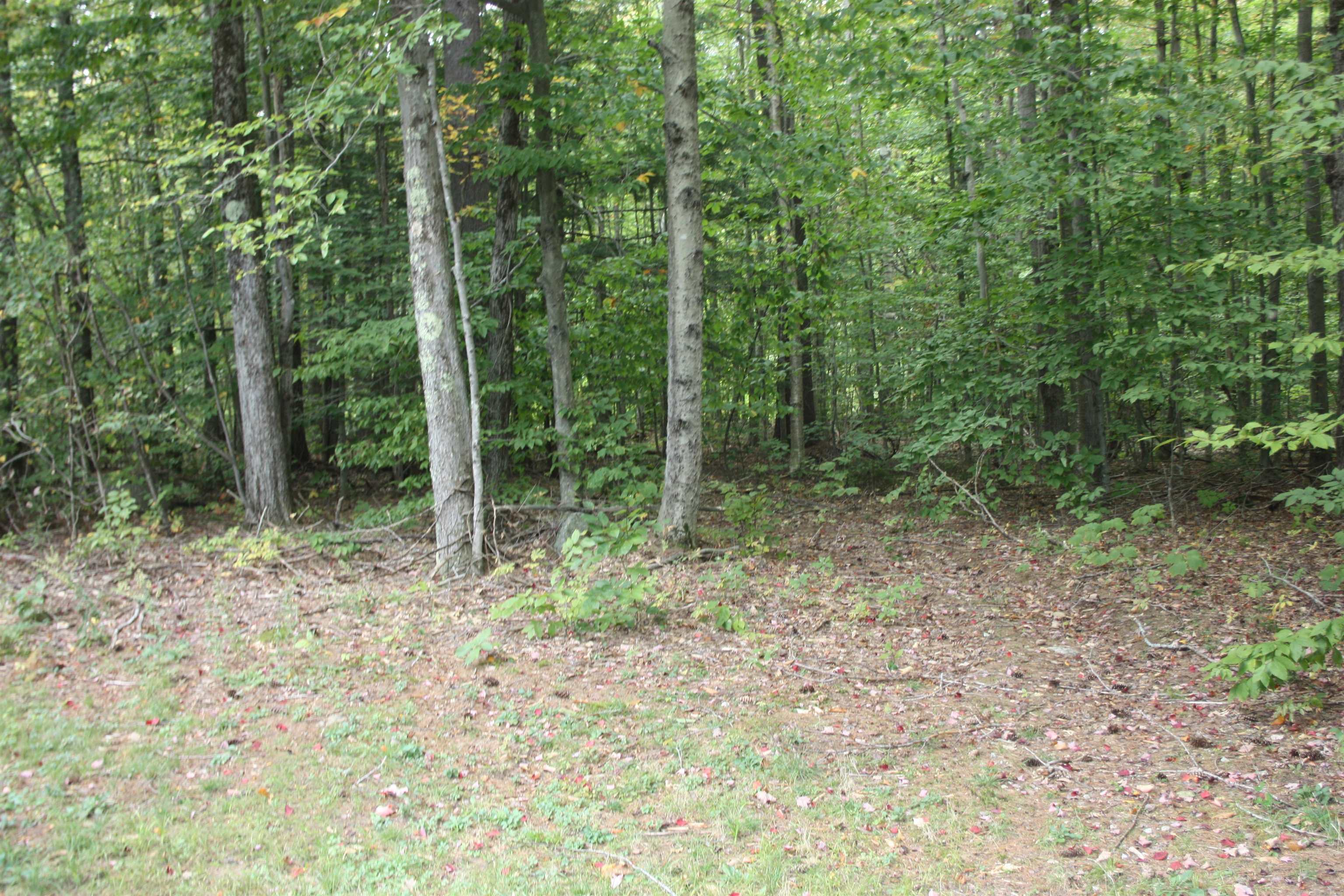 418 Juniper Hill Road Stoddard, NH 03464 - Photo 30 of 37