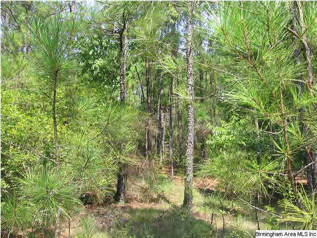 123 Caldwell Mill Road Bessemer, AL 35023 - Photo 3 of 6