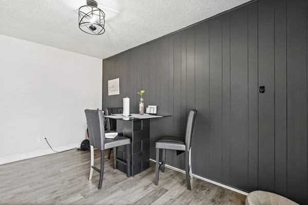 a view of a backyard with plants and large tree