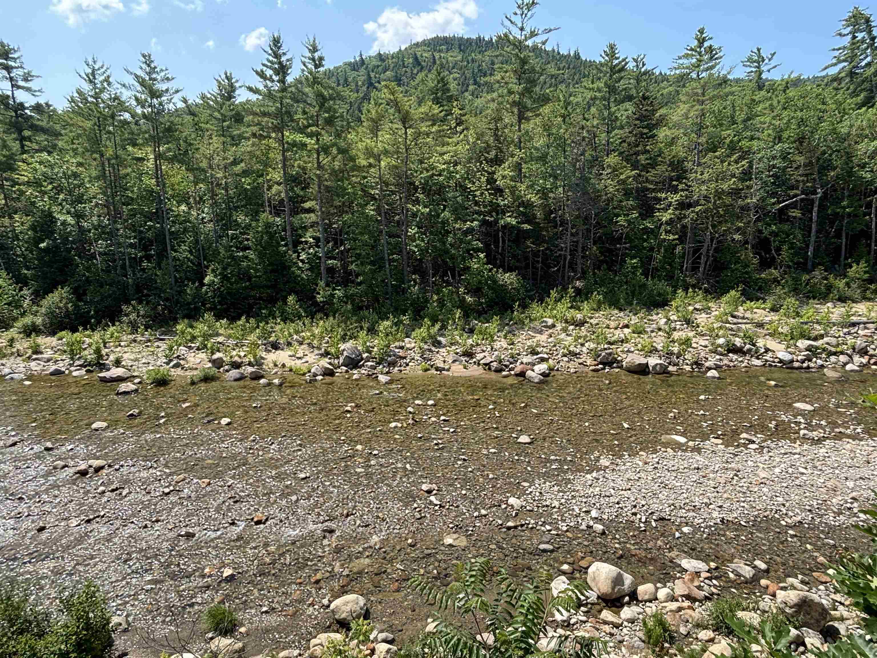 37 Camp Loop Road Glen, NH 03838 - Photo 6 of 36