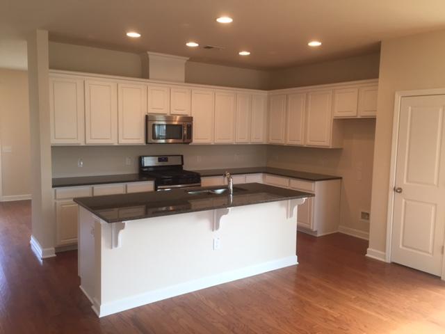 113 Cypress Plantation Road Moncks Corner, SC 29461 - Photo 8 of 33 STR 17 kitchen view