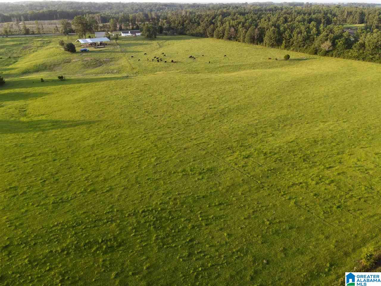 631 County Road 16 Clanton, AL 35045 - Photo 32 of 41