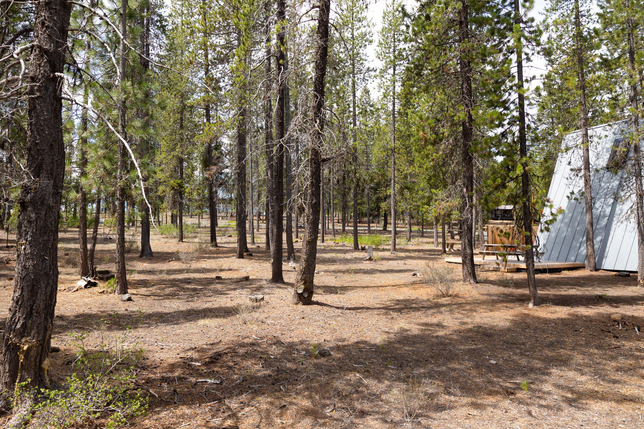 140029 Bearskin Road Crescent Lake, OR 97733 - Photo 17 of 35 140029 Bearskin Rd-19