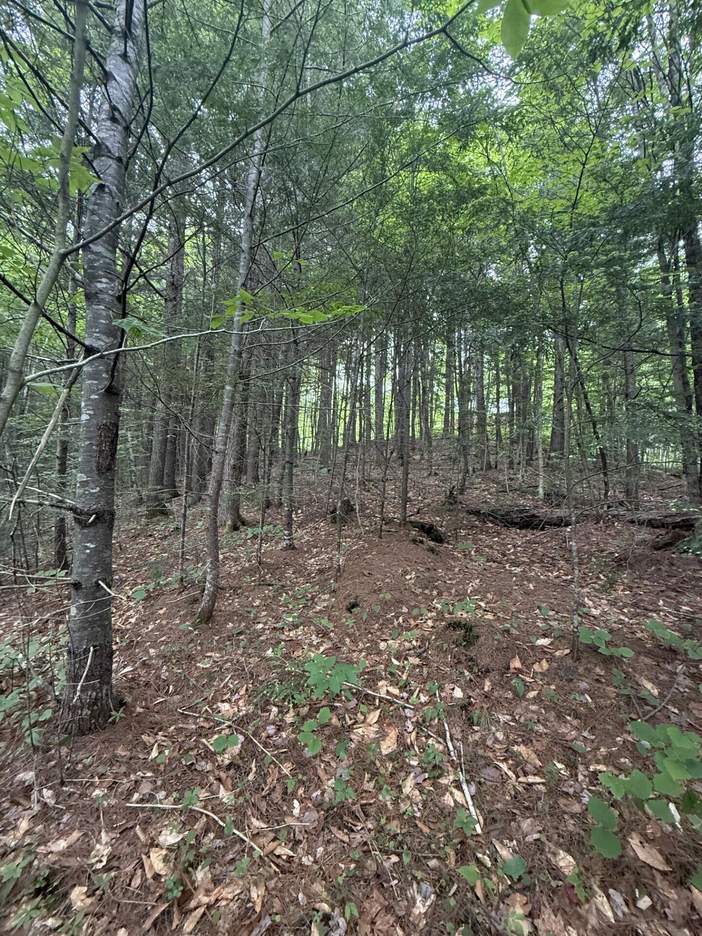 47-025 Cardinal Drive Embden, ME 04958 - Photo 47 of 55 32