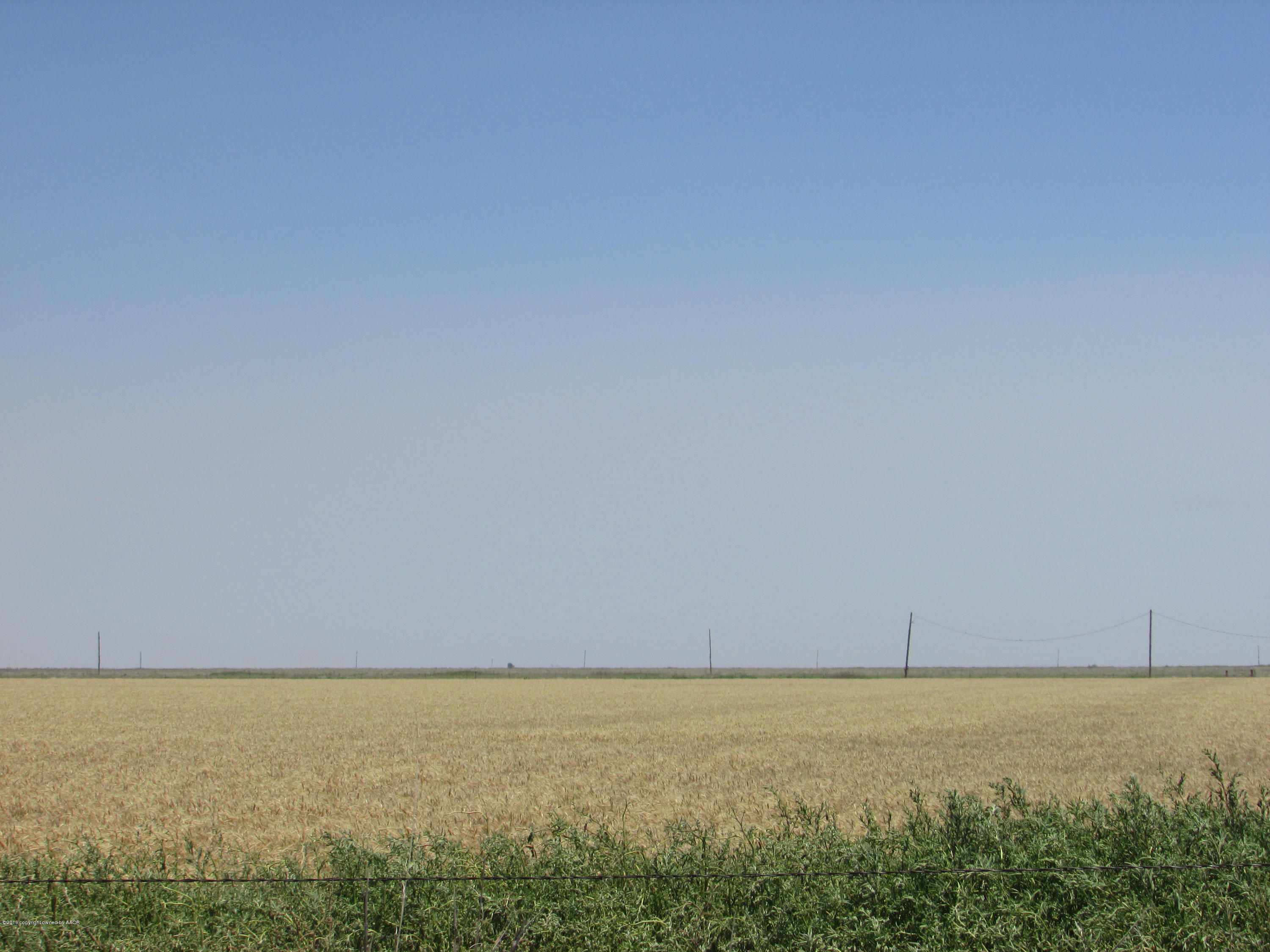 17300 East Country Club Road Claude, TX 79019 - Photo 8 of 10 150 Wheat Acres