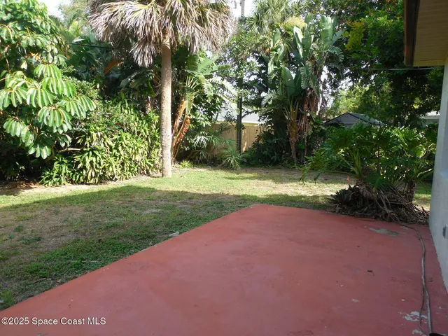 a view of a yard with plants and trees