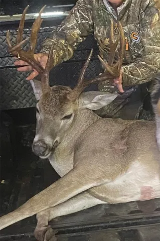 a picture of water closet with wooden floor