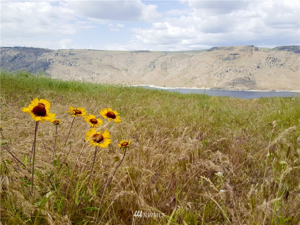 4199 East Spring Canyon Road Grand Coulee, WA 99133 - Photo 2 of 24 Gallery Image 2