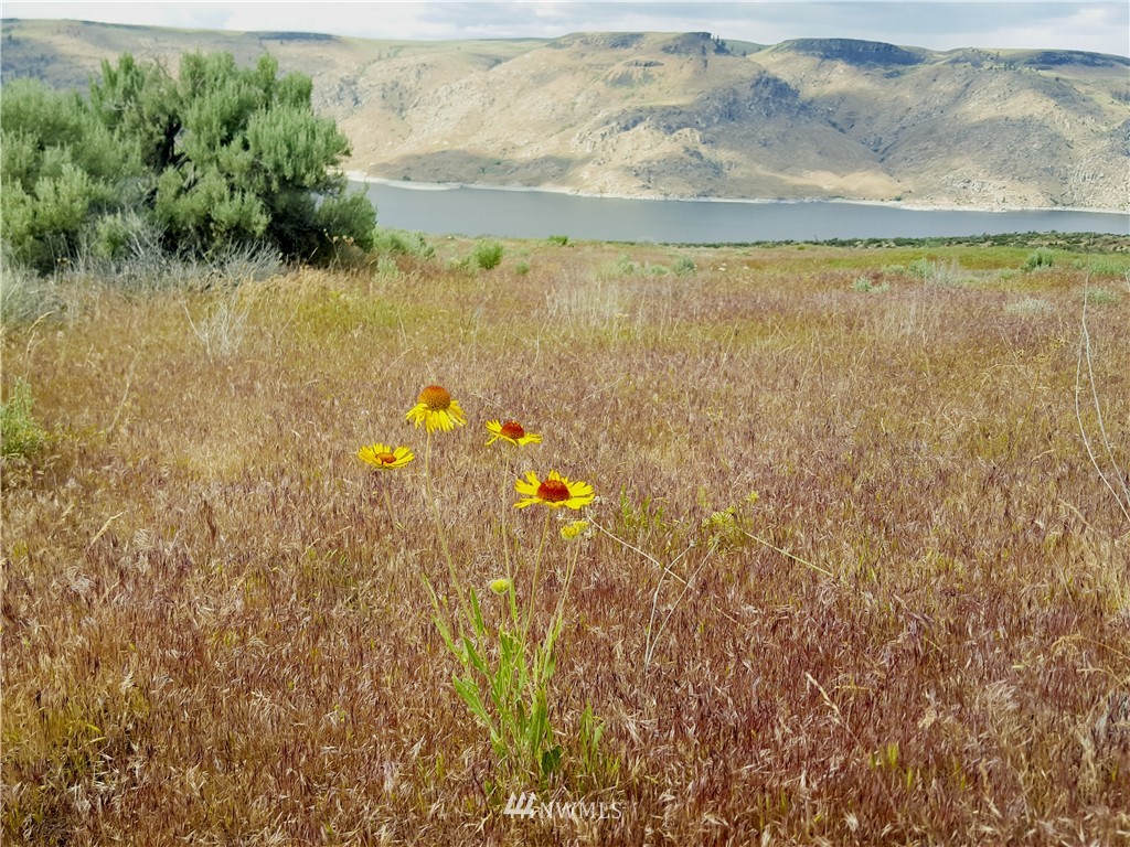4199 East Spring Canyon Road Grand Coulee, WA 99133 - Photo 17 of 24 Gallery Image 17