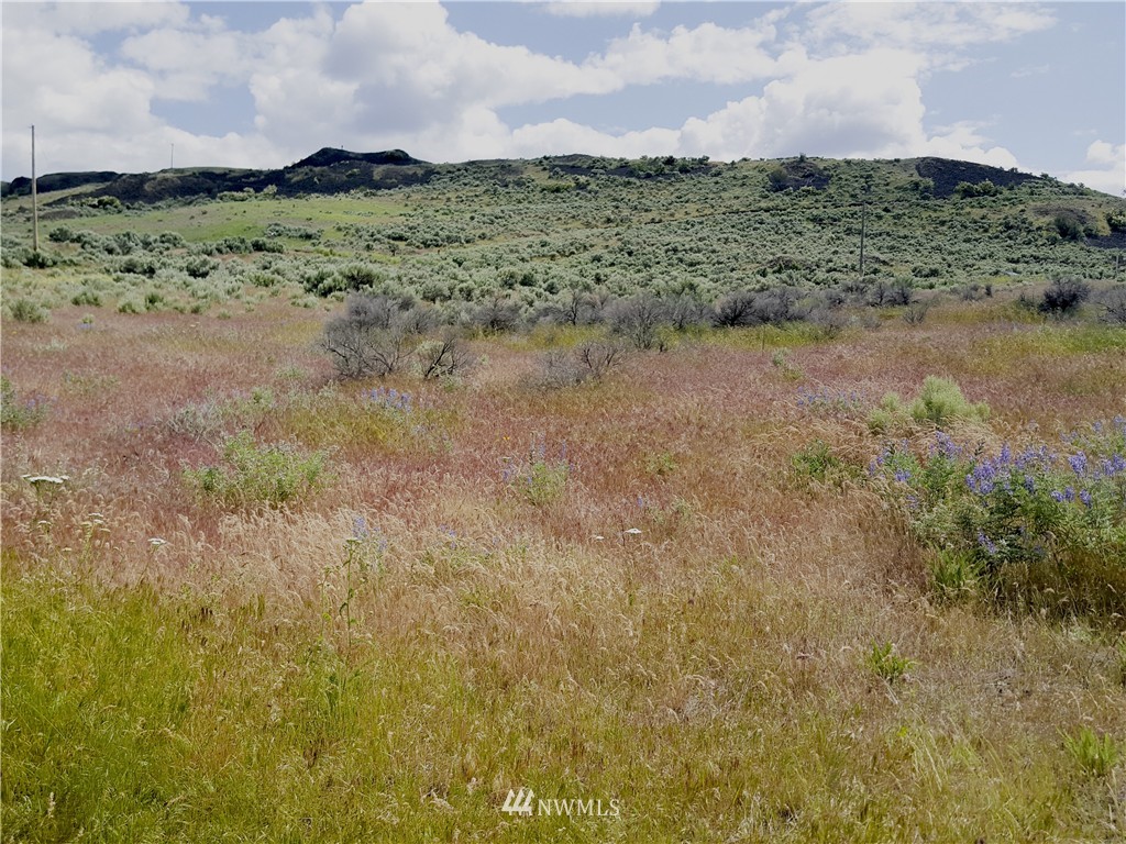 4199 East Spring Canyon Road Grand Coulee, WA 99133 - Photo 7 of 24 Gallery Image 7