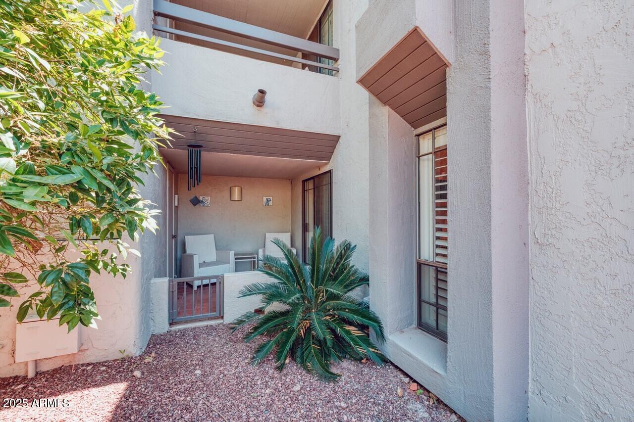 5221 North 24th Street, Unit 102 Phoenix, AZ 85016 - Photo 5 of 19 Private Patio