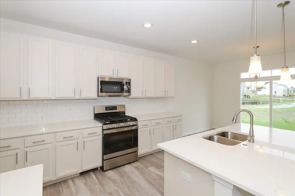 $793,550 | 23250 West Tenny Street, Plainfield, IL 60585