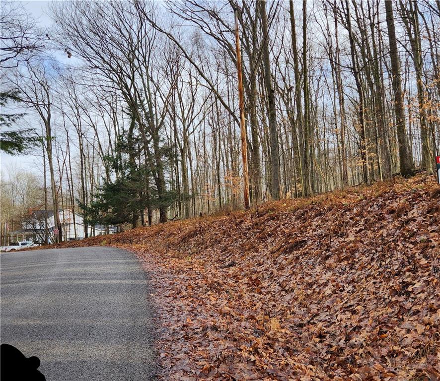 324 Woolendean Road Du Bois, PA 15801 - Photo 2 of 5 a view of a yard with large trees