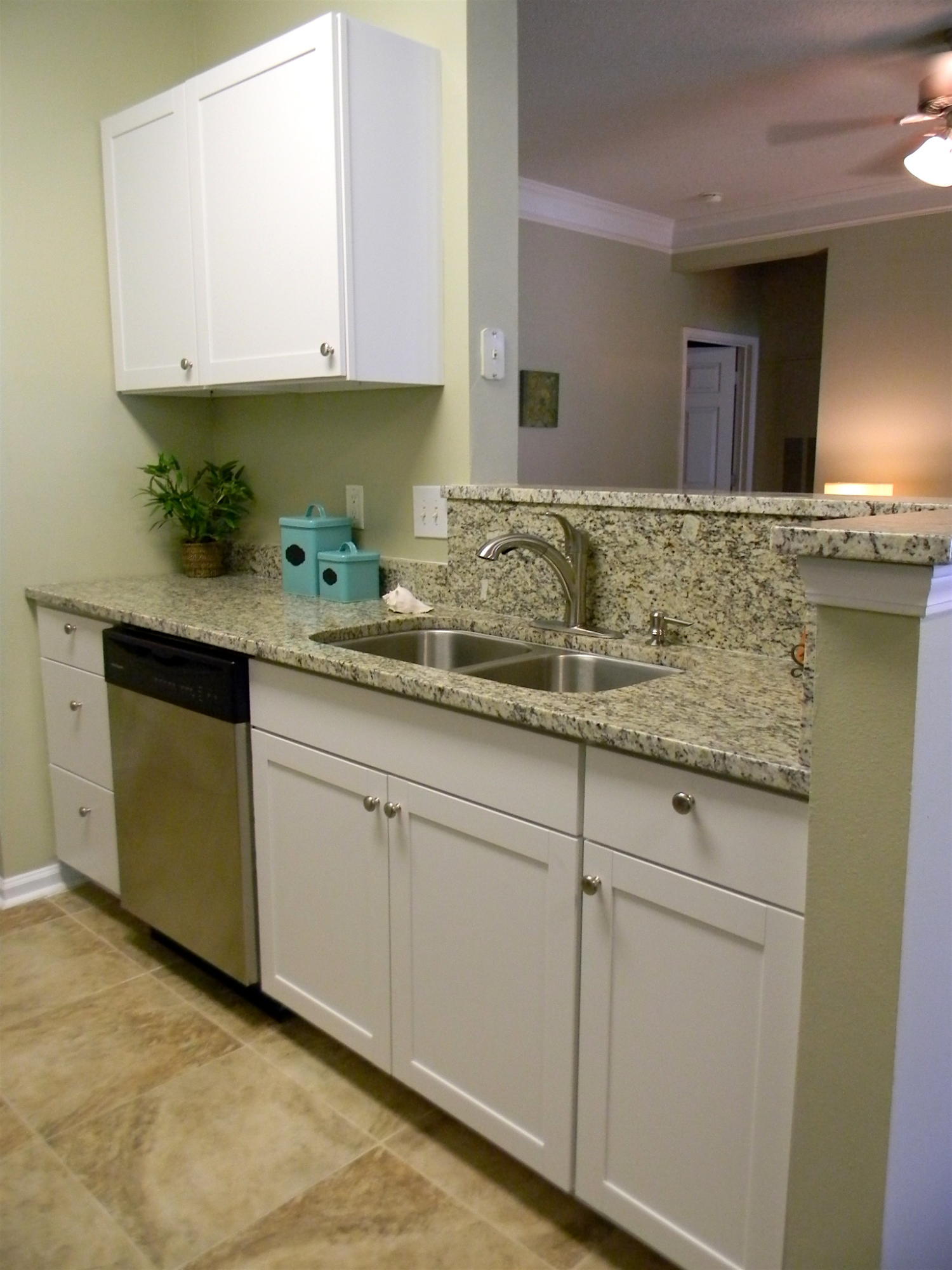 2114 Chatelain Way Mount Pleasant, SC 29464 - Photo 2 of 12 DSCN9801
