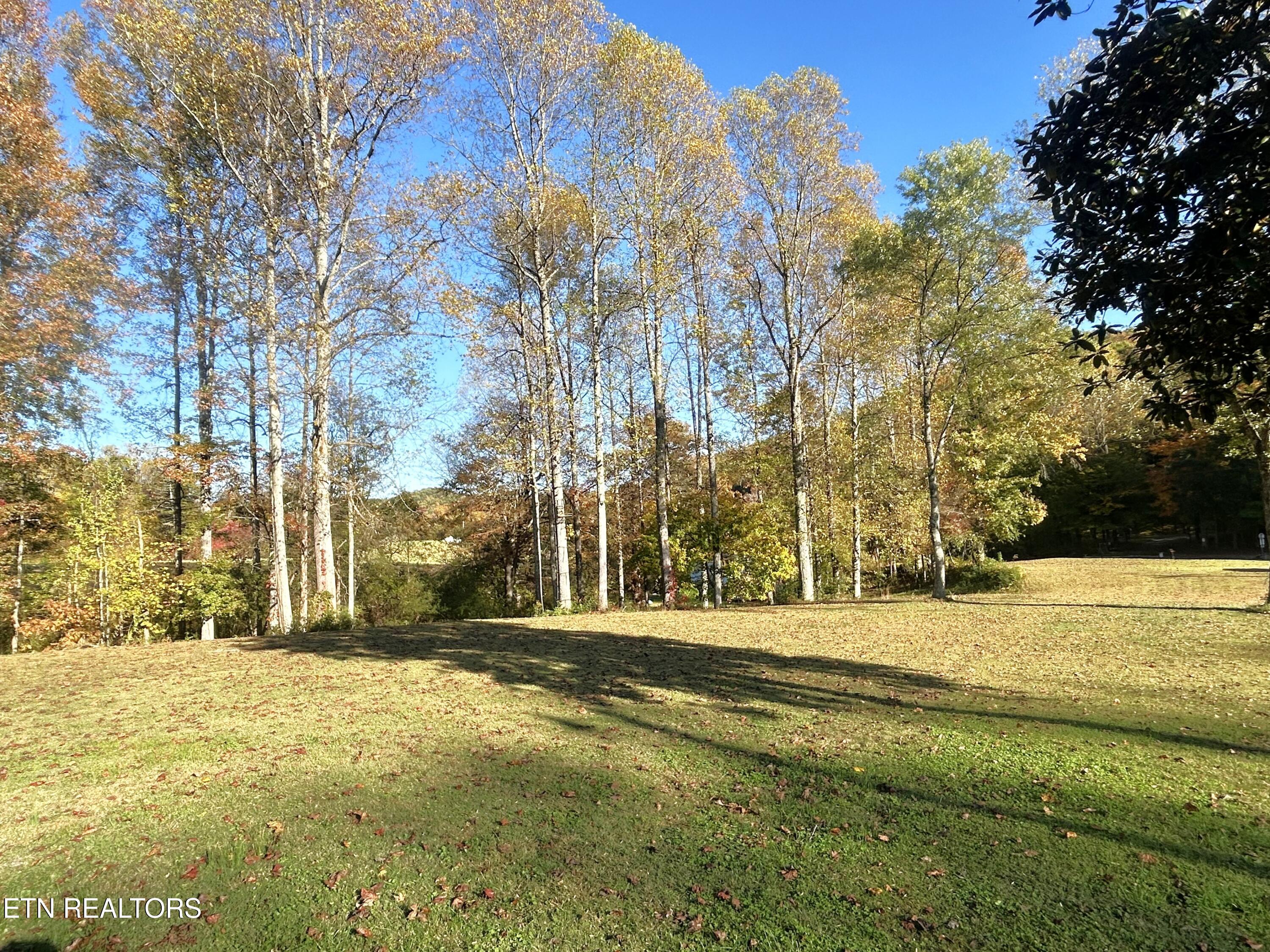 1861 Dutch Valley Road Clinton, TN 37716 - Photo 6 of 9 IMG_0677