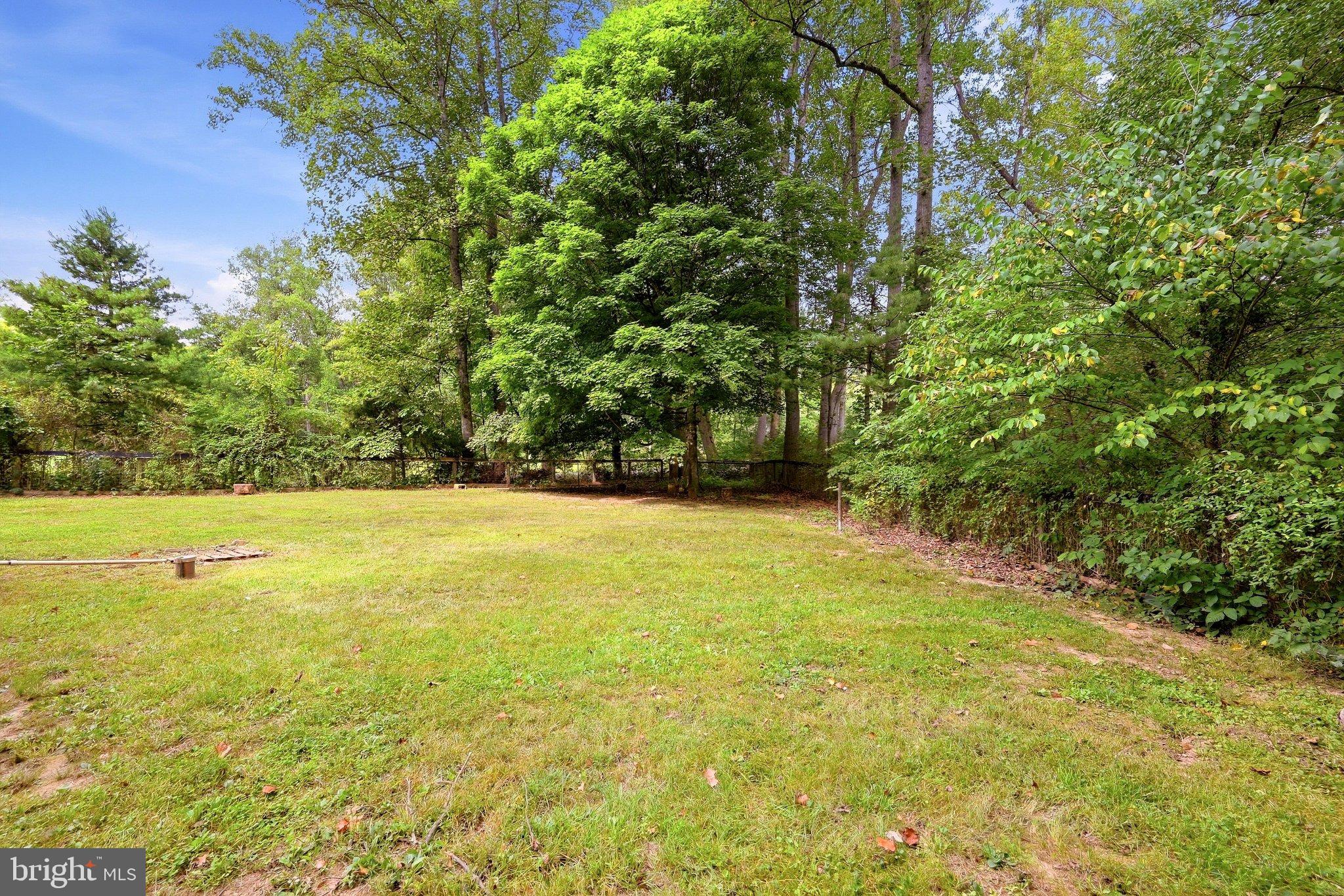 9184 Cold Stream Road Capon Bridge, WV 26711 - Photo 33 of 55 Backyard