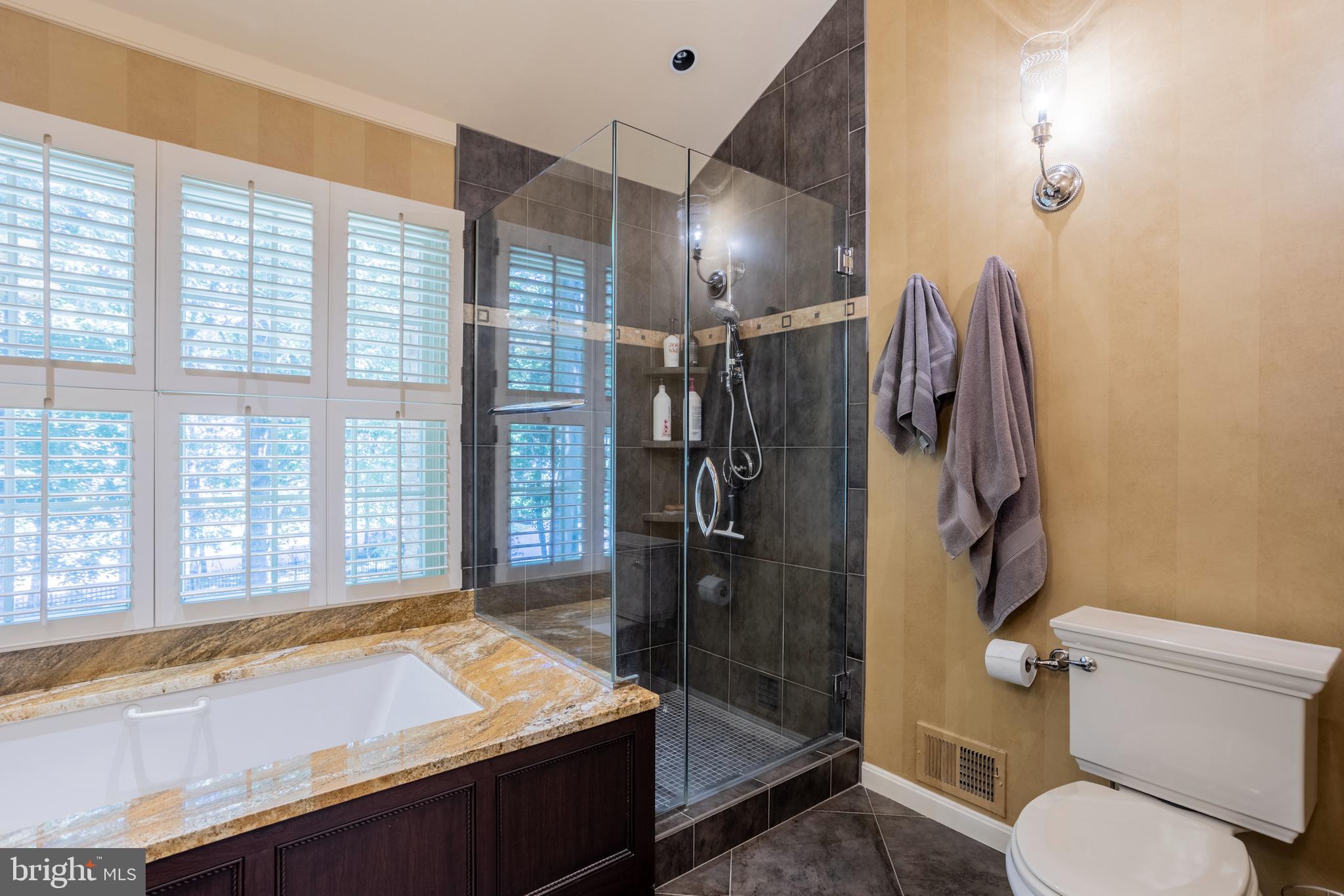63 Raisin Tree Circle Baltimore, MD 21208 - Photo 36 of 57 a bathroom with a granite countertop sink and a toilet