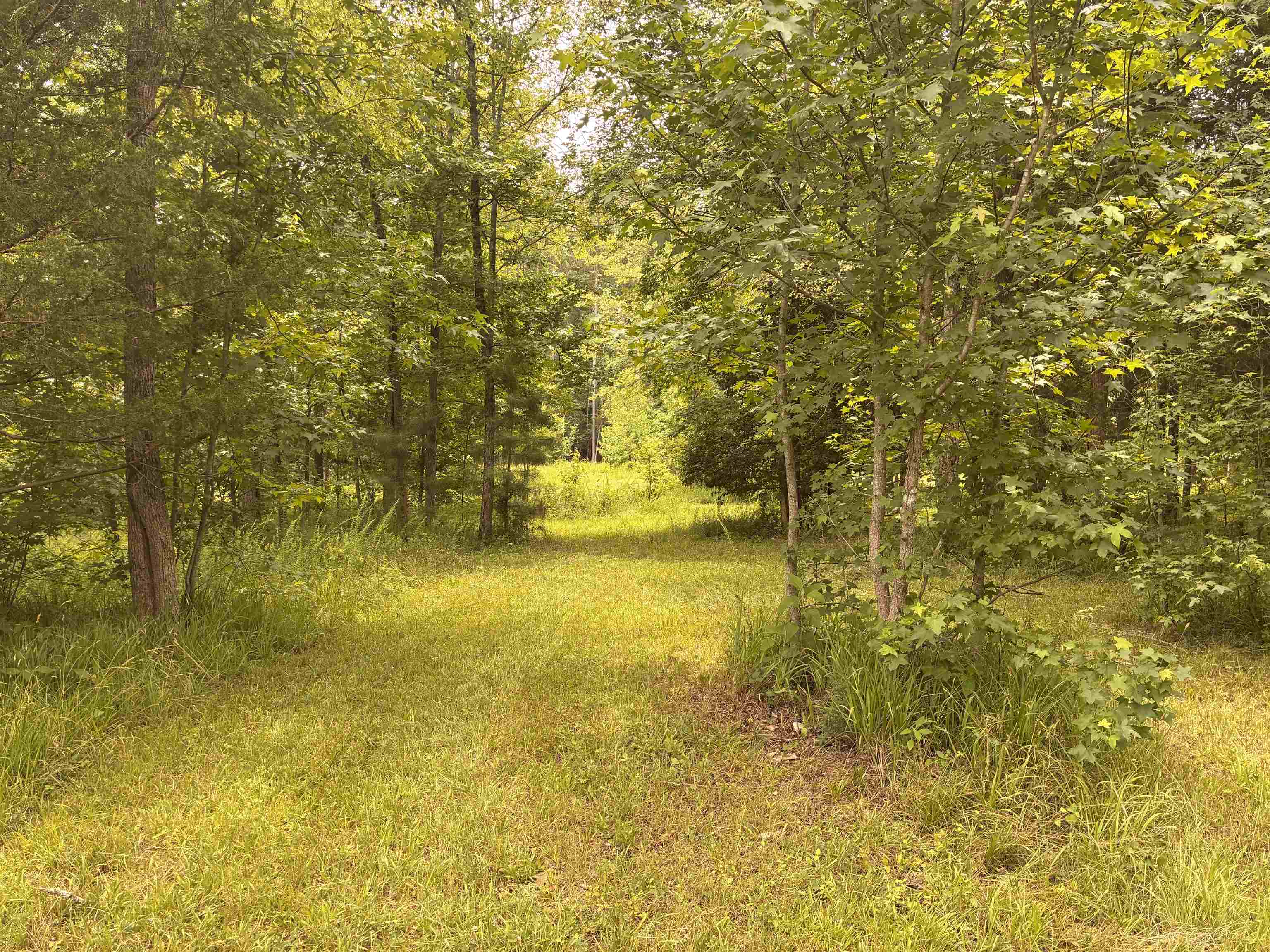 Lot 1 State Rd S-11-54 Gaffney, SC 29340 - Photo 6 of 19