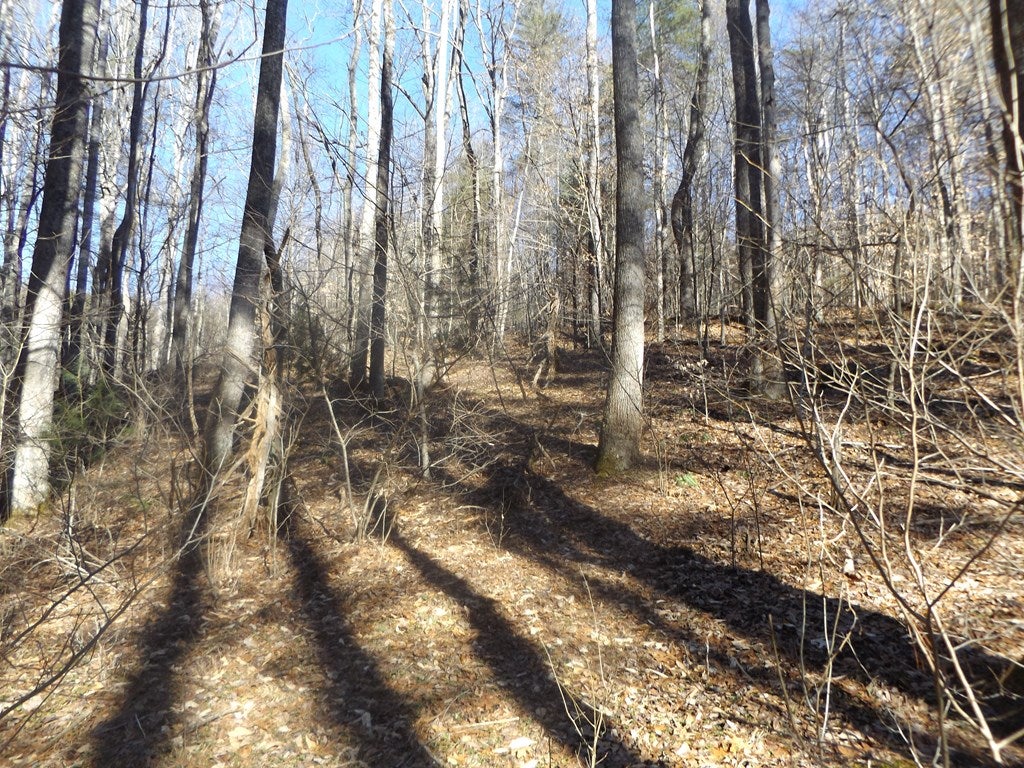 Tbd Old Jackson Mill Road, Unit 1 Laurel Fork, VA 24352 - Photo 13 of 16 Gallery Image 13