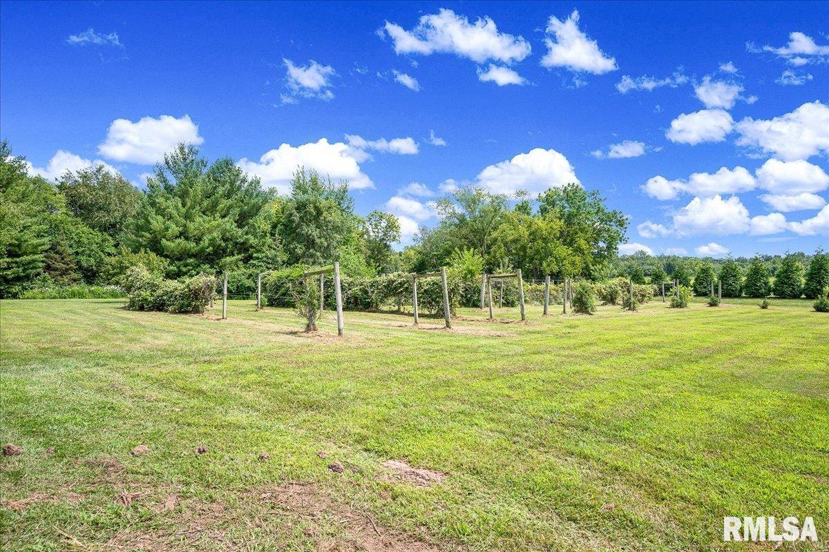 8214 West Mapleridge Road Mapleton, IL 61547 - Photo 35 of 50