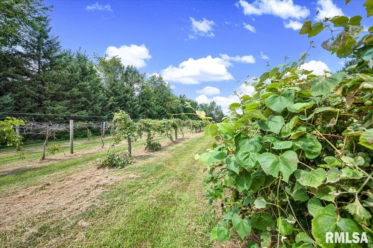 8214 West Mapleridge Road Mapleton, IL 61547 - Photo 4 of 50