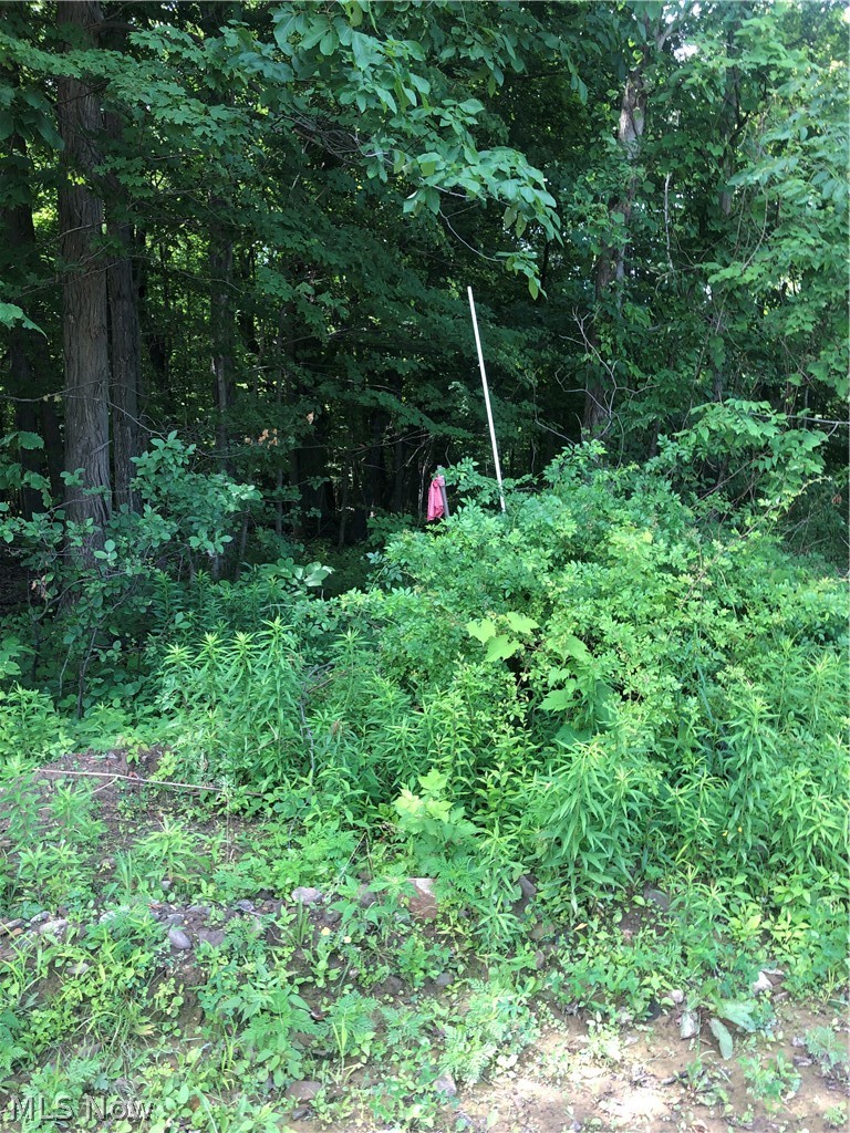 South Ridge Road Kingsville, OH 44048 - Photo 2 of 9 Gallery Image 2