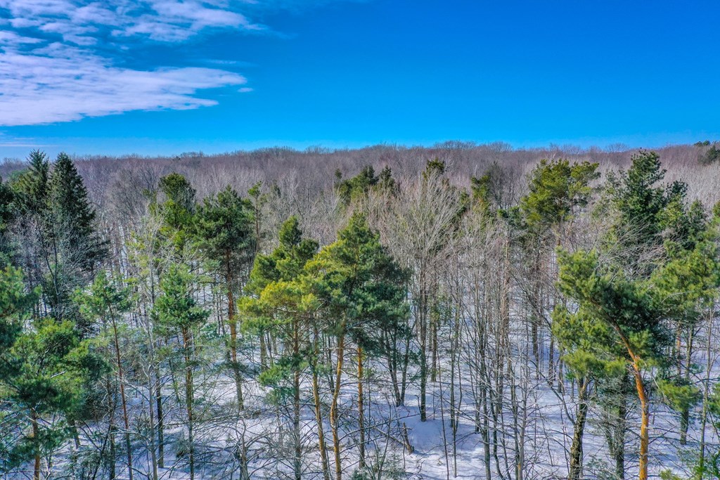 Lot 2 Daisy Patch Road Fish Creek, WI 54212 - Photo 4 of 14