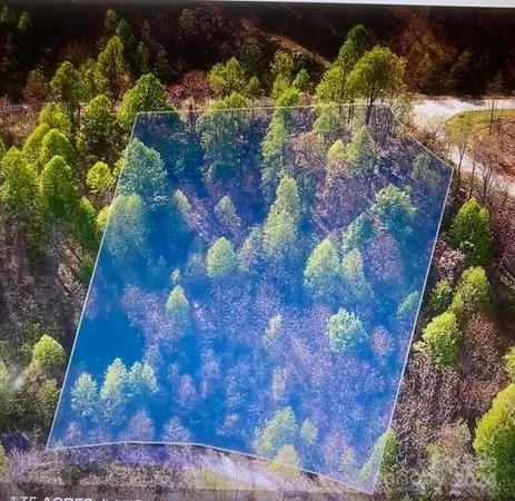 $115,500 | 236 Nottingham Dr Mill Spring, Mill Spring, NC 28756