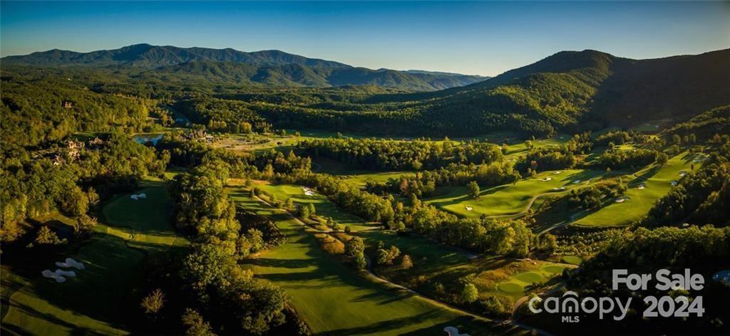 236 Nottingham Dr Mill Spring Mill Spring, NC 28756 - Photo 2 of 18