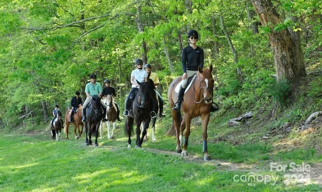 $115,500 | 236 Nottingham Dr Mill Spring, Mill Spring, NC 28756