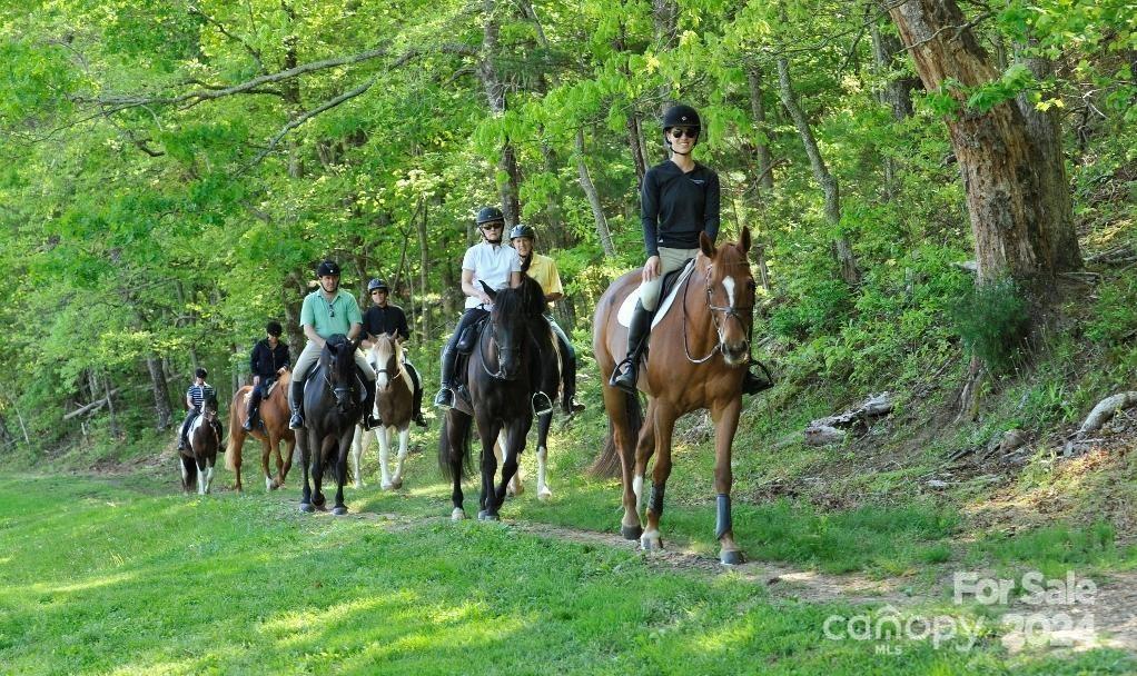 236 Nottingham Dr Mill Spring Mill Spring, NC 28756 - Photo 6 of 18