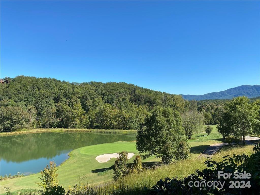 236 Nottingham Dr Mill Spring Mill Spring, NC 28756 - Photo 7 of 18