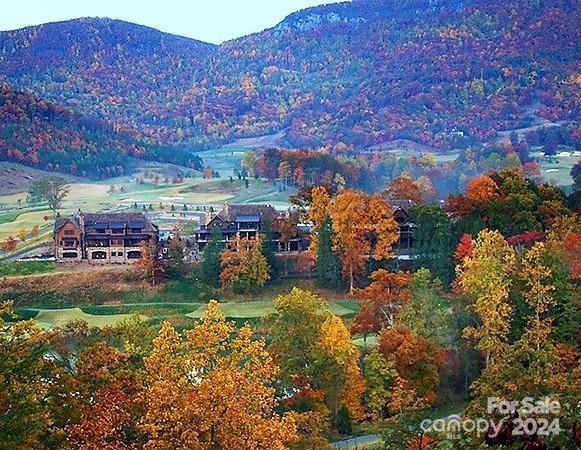 236 Nottingham Dr Mill Spring Mill Spring, NC 28756 - Photo 8 of 18