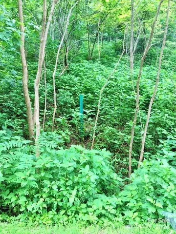 $115,500 | 236 Nottingham Dr Mill Spring, Mill Spring, NC 28756