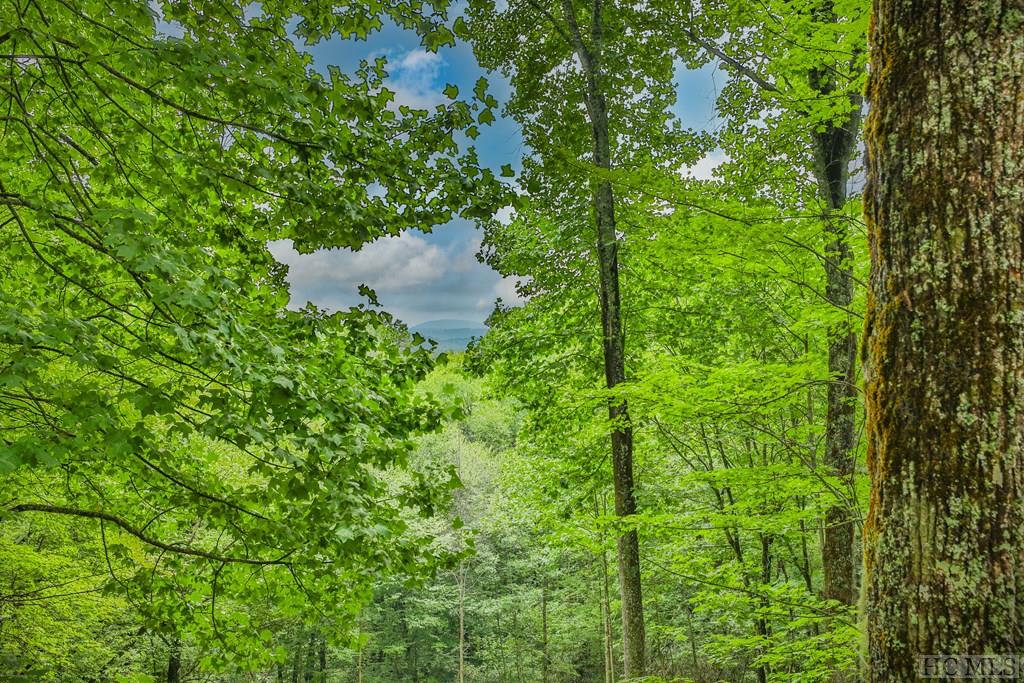 703 Dog Mountain Road Highlands, NC 28741 - Photo 45 of 51 Long Range Mountain View