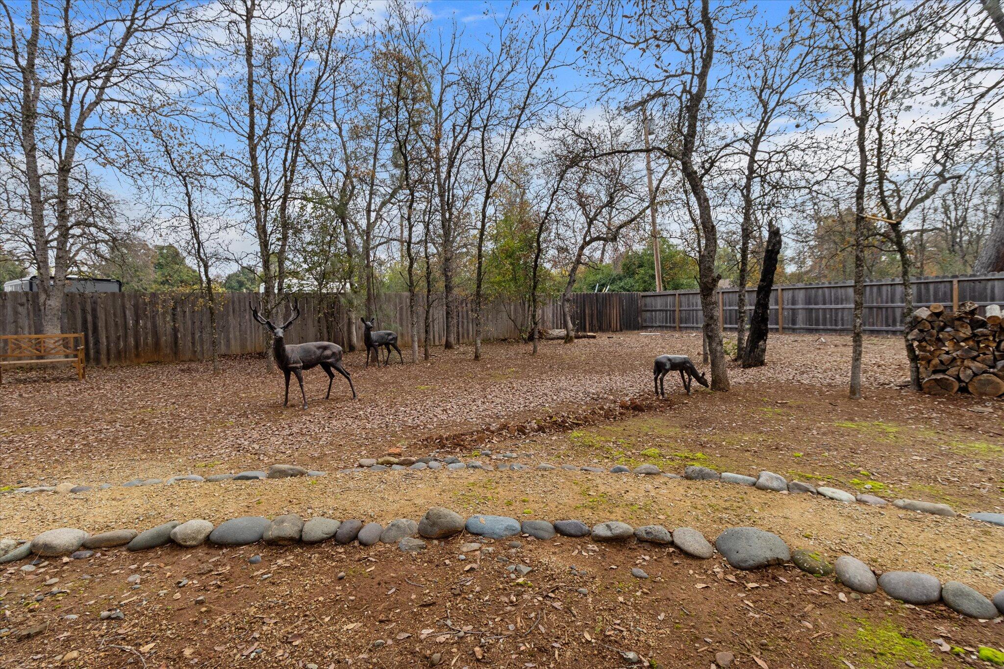 3385 Wimbledon Drive Redding, CA 96002 - Photo 65 of 87 065