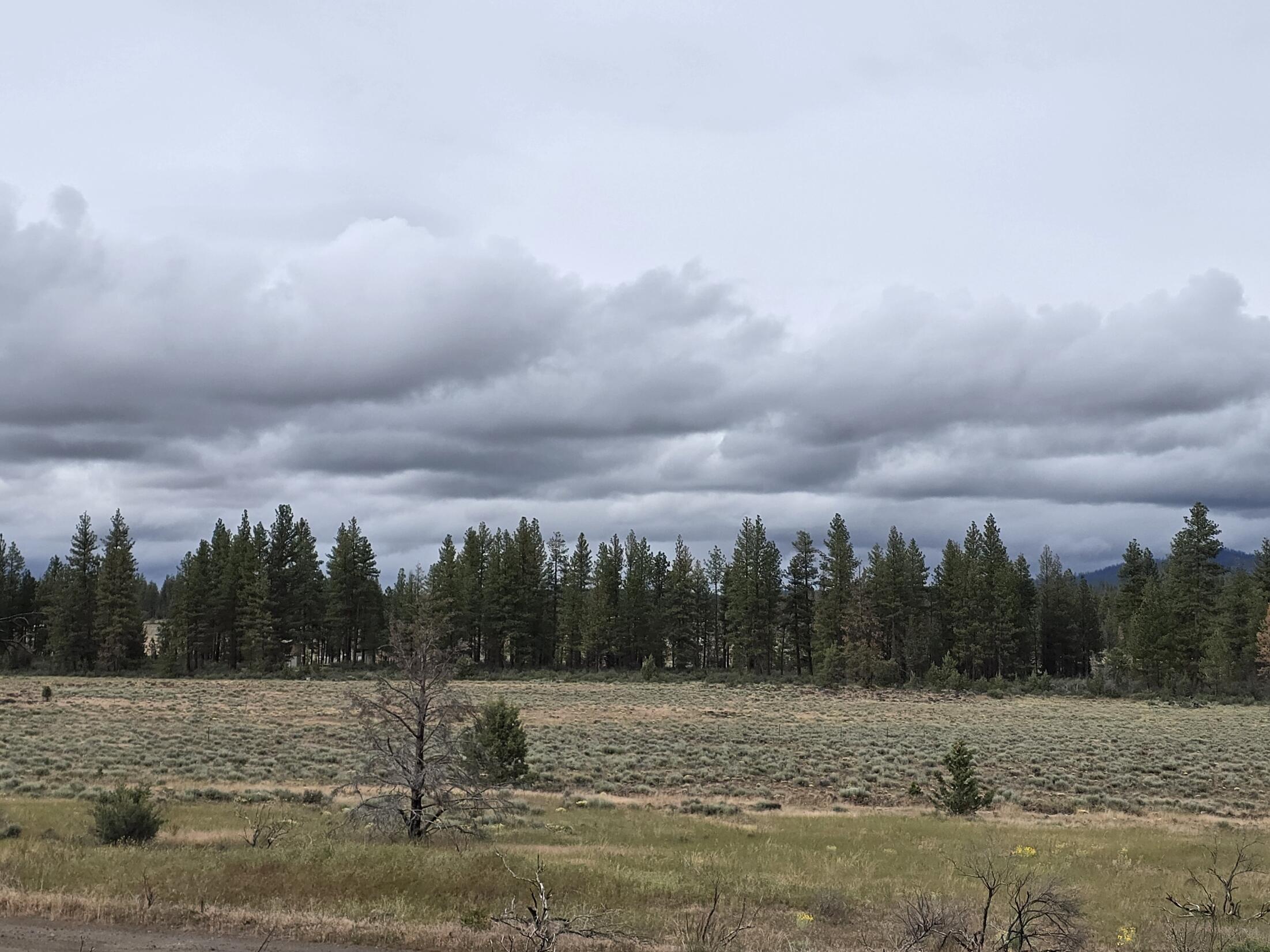Oregon Pines Road Chiloquin, OR 97624 - Photo 2 of 10 20250621_173443