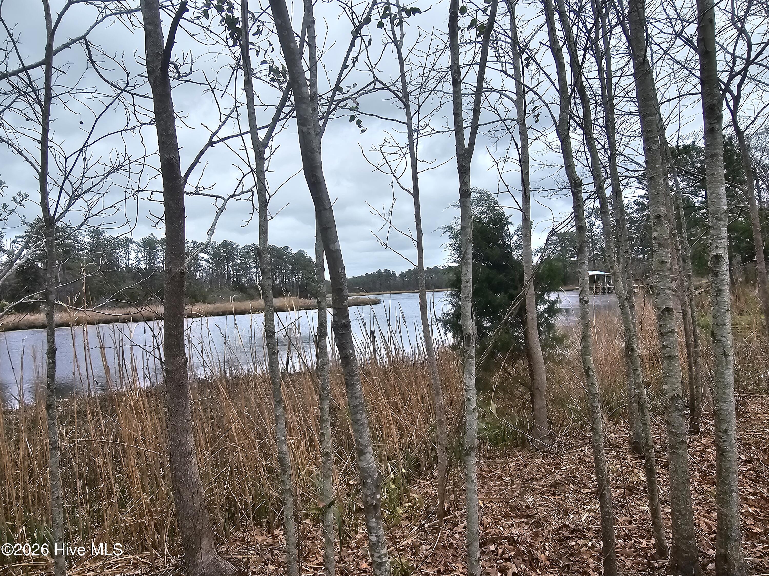 251 Alligator Loop Road Merritt, NC 28556 - Photo 3 of 8 View of the water to the right