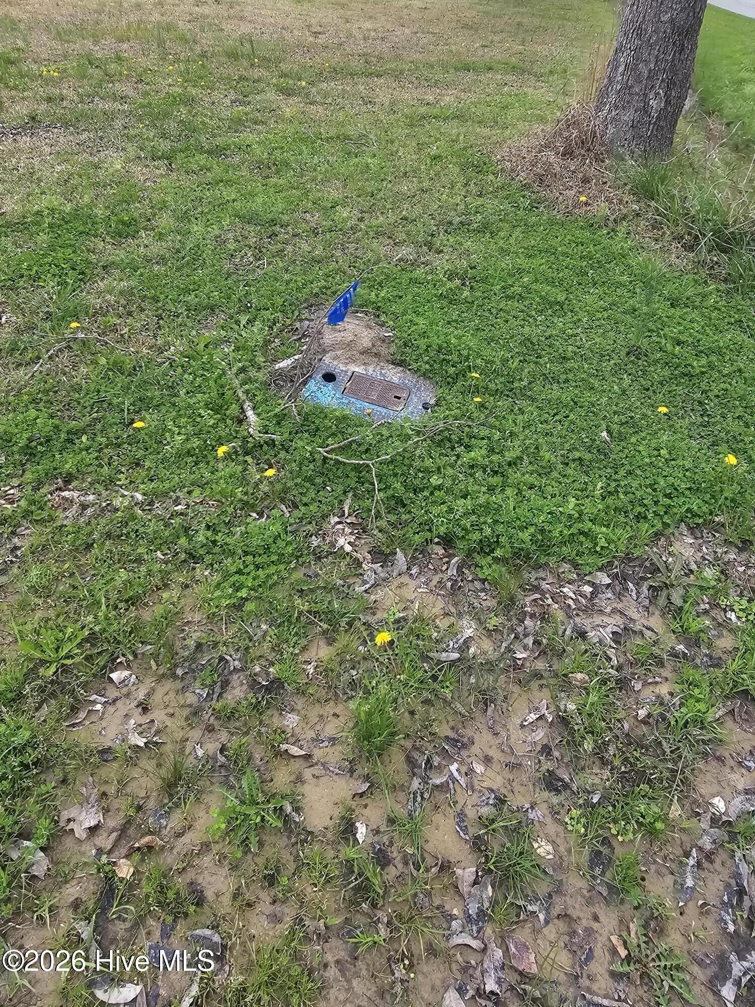 251 Alligator Loop Road Merritt, NC 28556 - Photo 5 of 8 251 ALLIGATOR LOOP 8 COUNTY WATER