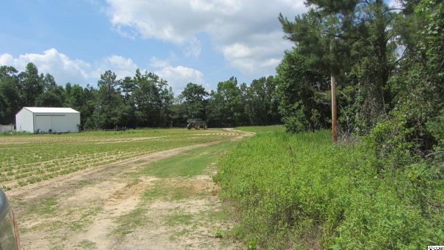 5865 Juniper Bay Road Conway, SC 29527 - Photo 3 of 12 Gallery Image 3